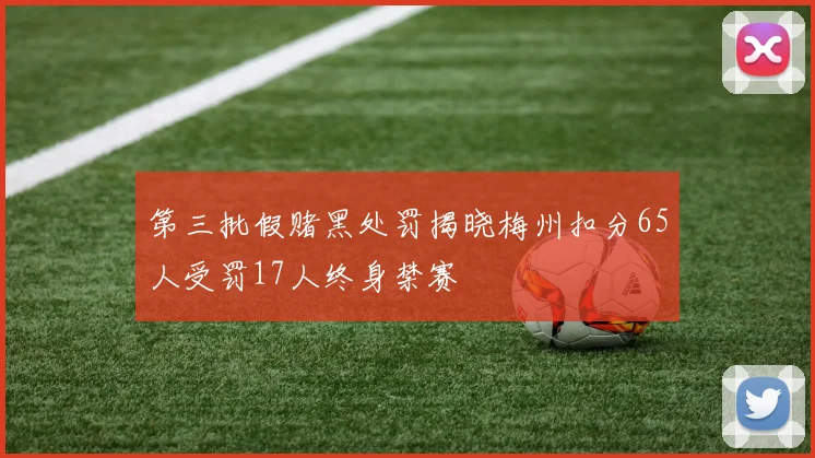 第三批假赌黑处罚揭晓梅州扣分65人受罚17人终身禁赛
